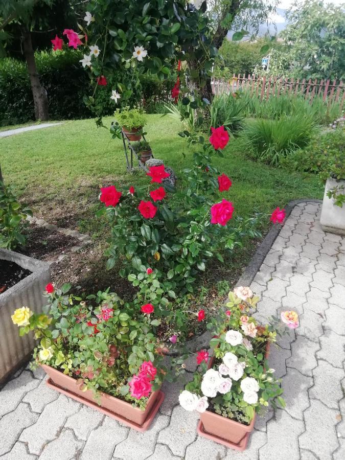 Alloggio Cristina Valdobbiadene Luaran gambar