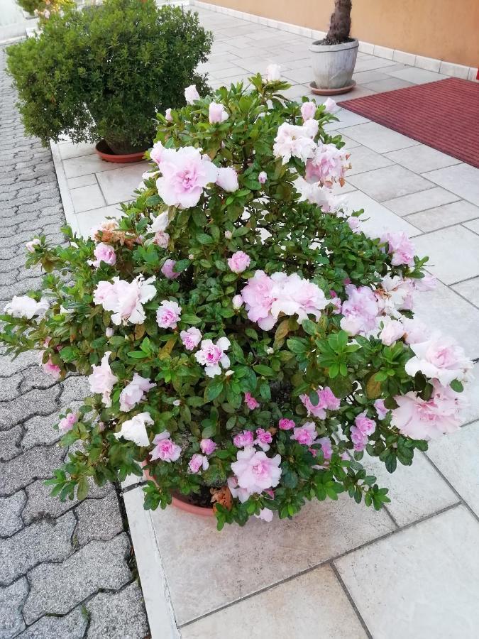 Alloggio Cristina Valdobbiadene Luaran gambar