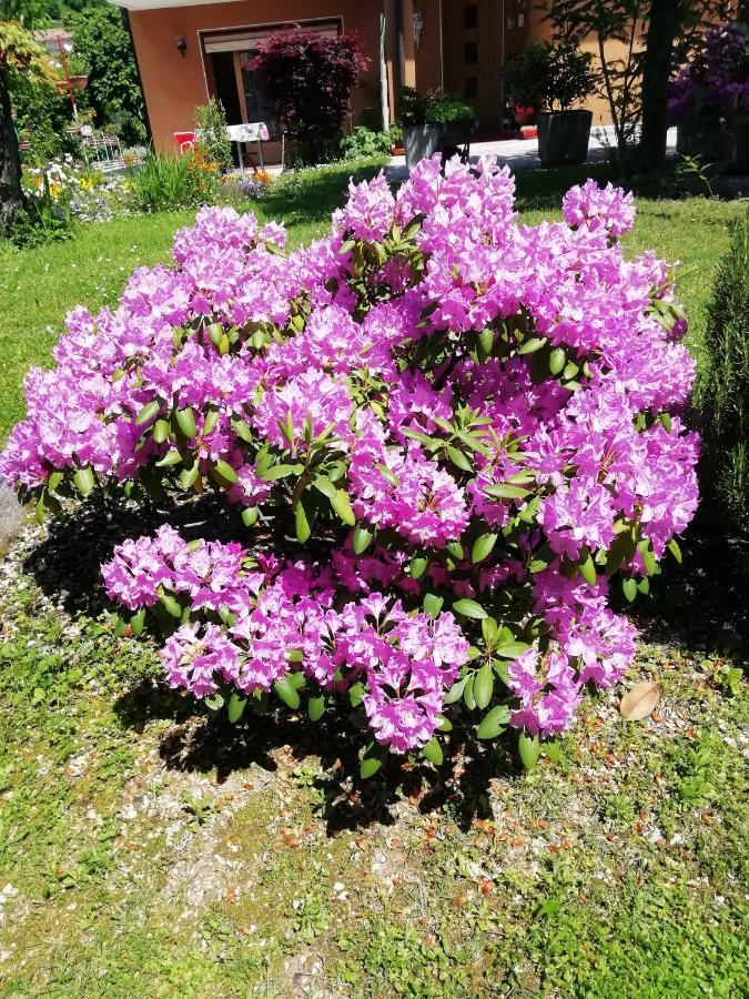 Alloggio Cristina Valdobbiadene Luaran gambar