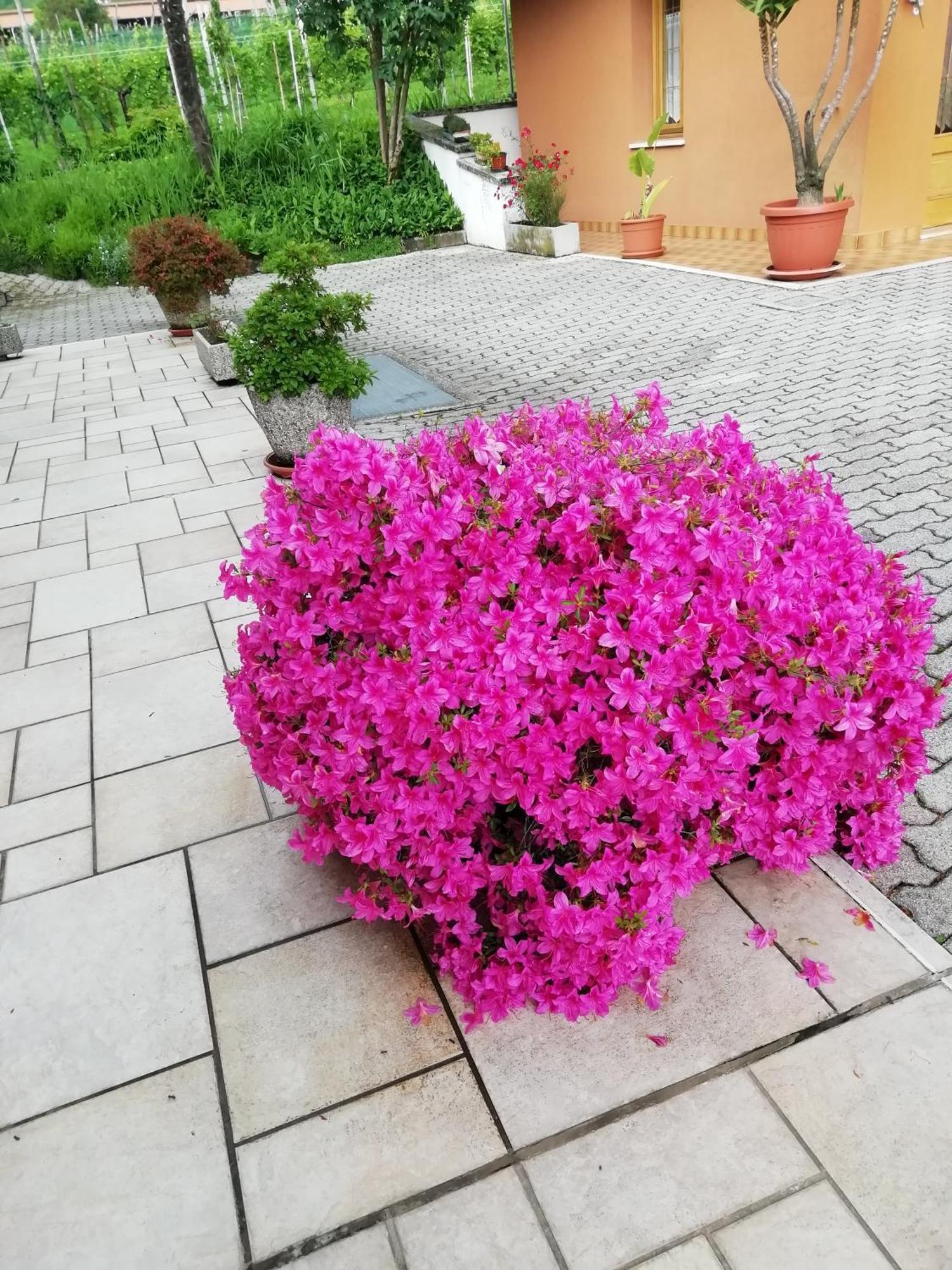 Alloggio Cristina Valdobbiadene Luaran gambar